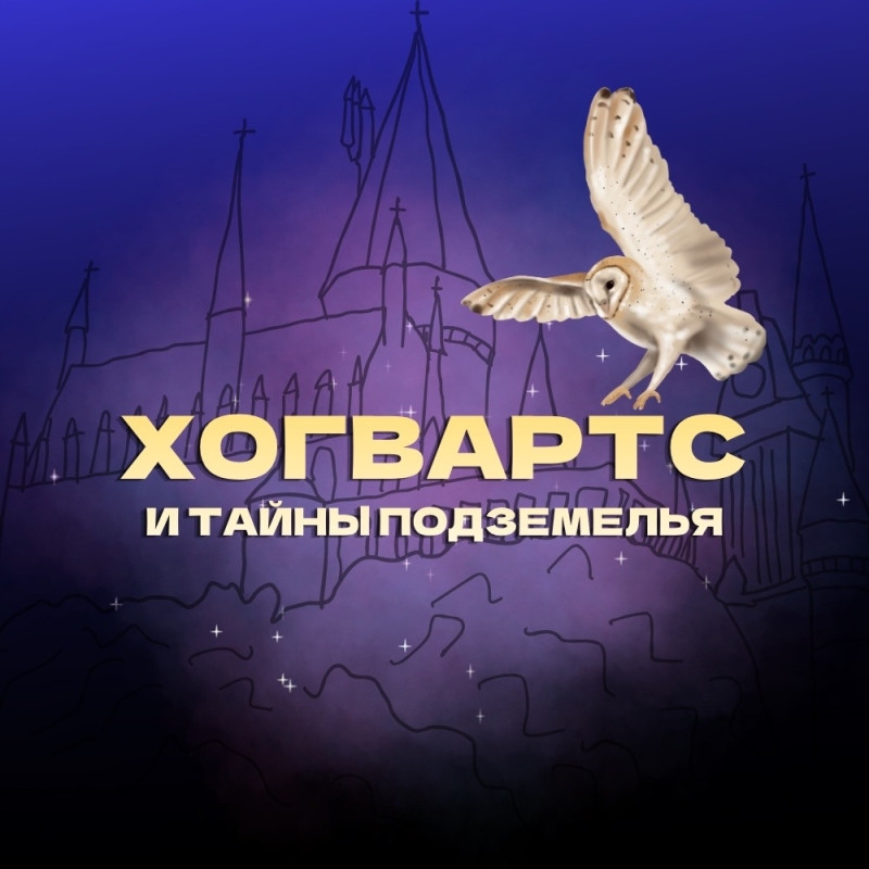 Гарри Поттер в лабиринте