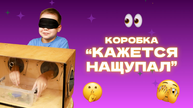 Коробка «Кажется, нащупал»